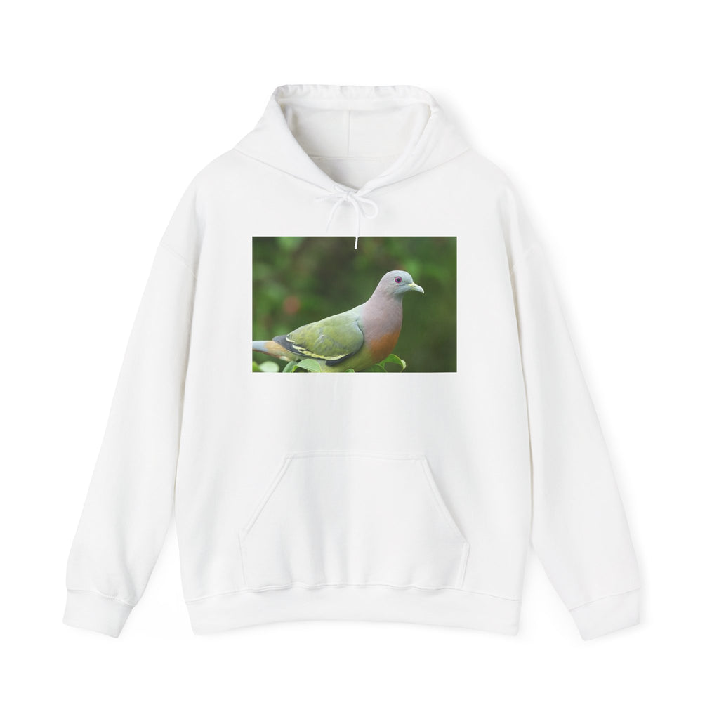 Pink-necked Green Pigeon Photo Hoodie – Nature Bird Photography Sweatshirt